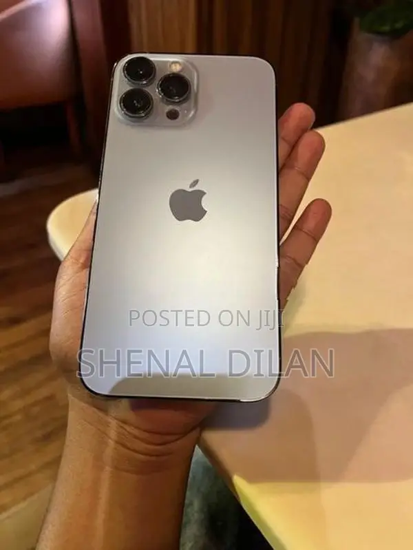 Apple iPhone 13 Pro Max (Used)