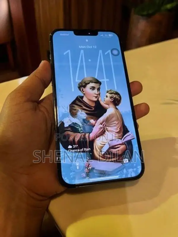 Apple iPhone 13 Pro Max (Used)