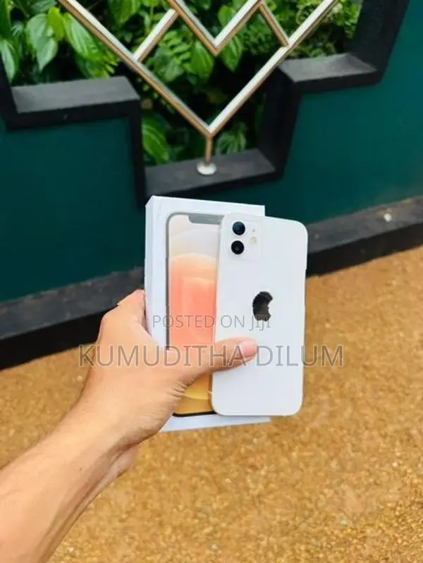 Apple iPhone 12 (Used)