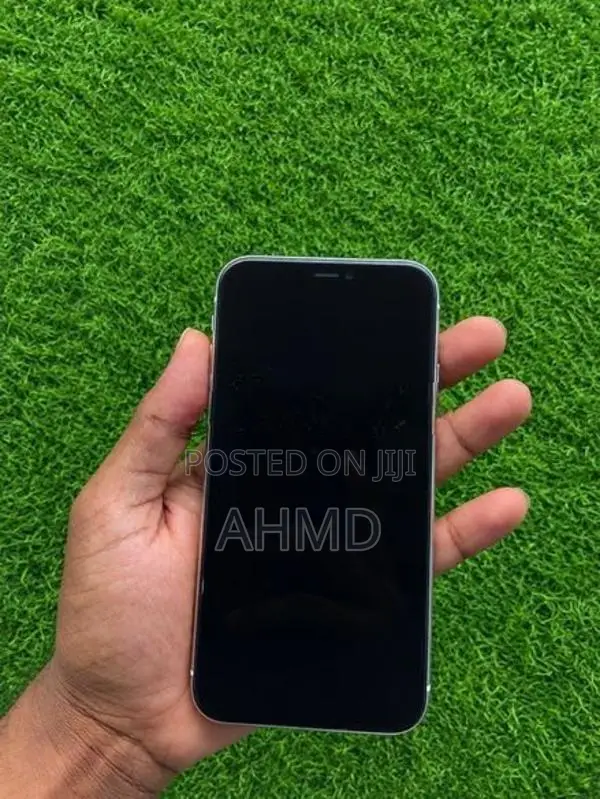 Apple iPhone 11 (Used)
