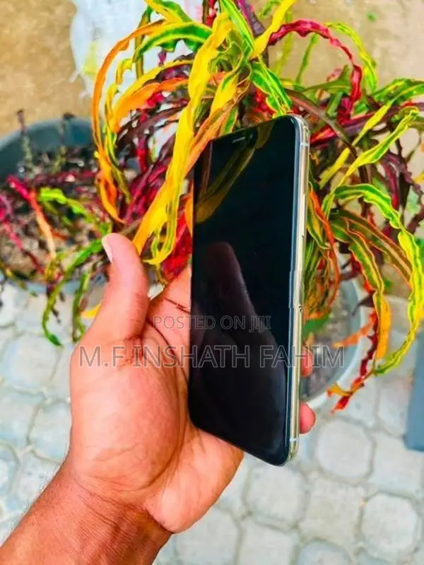 Apple iPhone X (Used)