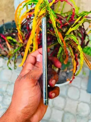 Apple iPhone X (Used)