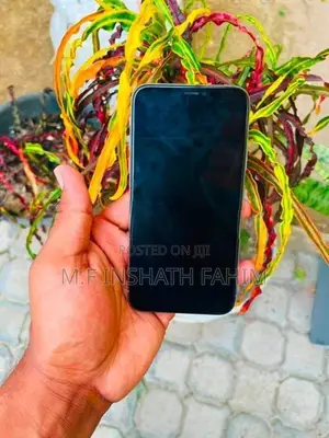 Apple iPhone X (Used)