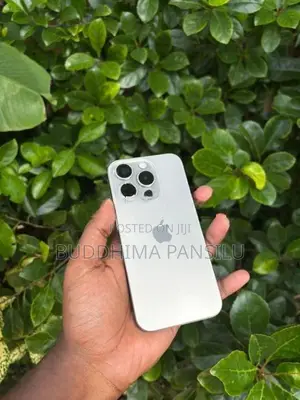 Apple iPhone 15 Pro (Used)