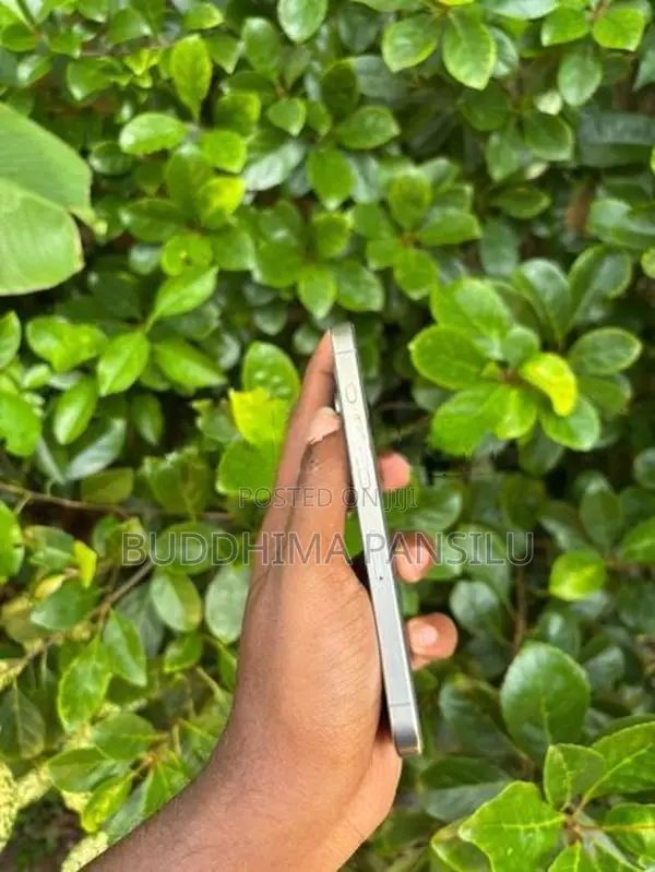 Apple iPhone 15 Pro (Used)