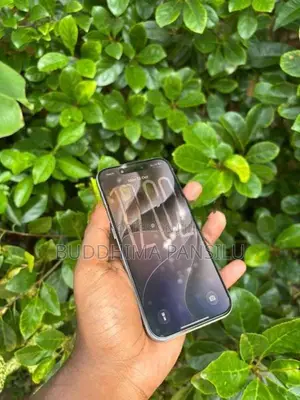 Apple iPhone 15 Pro (Used)