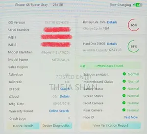 Apple iPhone XS 256GB (Used)