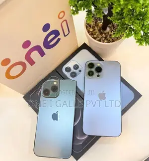Apple iPhone 13 Pro Max 256GB (Used)