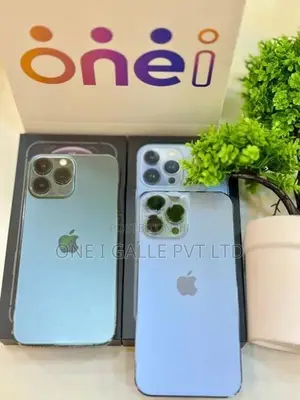 Apple iPhone 13 Pro Max 256GB (Used)