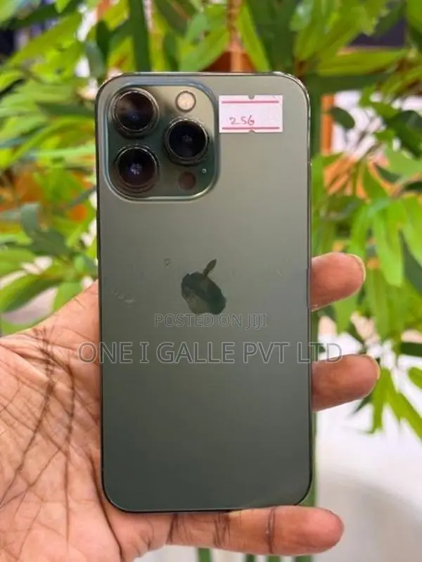 Apple iPhone 13 Pro Max 256GB (Used)