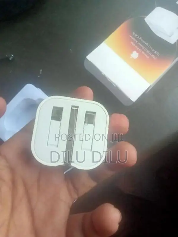 Apple I Phone Charger