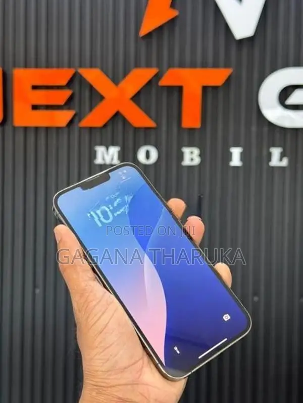 Apple iPhone 13 Pro Max (Used)