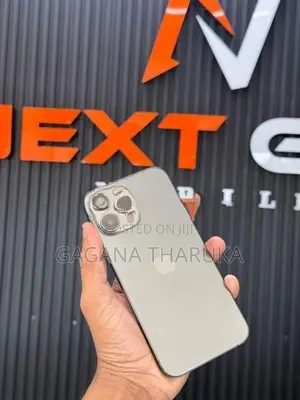Apple iPhone 13 Pro Max (Used)