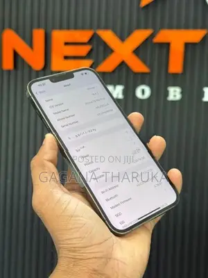 Apple iPhone 13 Pro Max (Used)