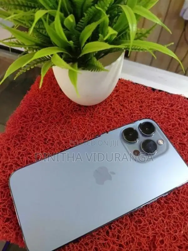 Apple iPhone 13 Pro 256GB (Used)