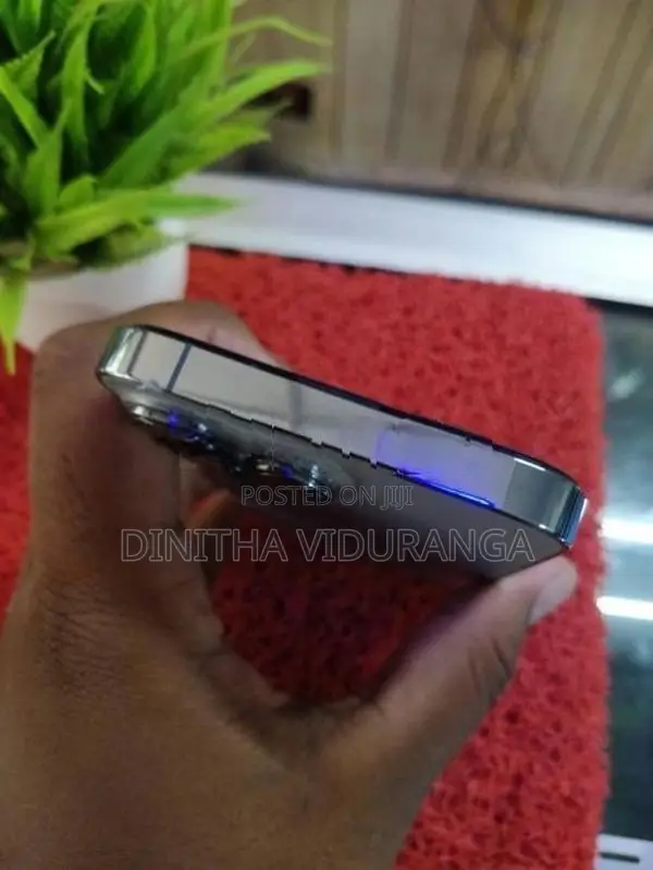 Apple iPhone 13 Pro 256GB (Used)