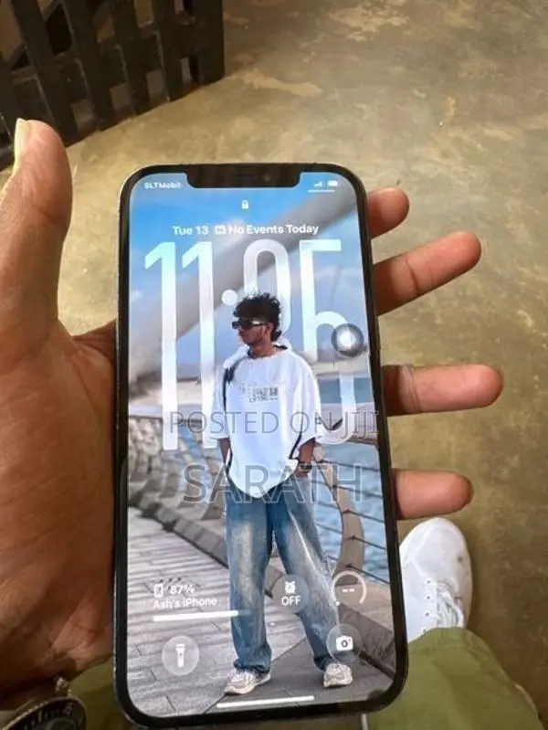 Apple iPhone 12 Pro Max (Used)