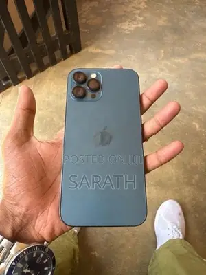 Apple iPhone 12 Pro Max (Used)