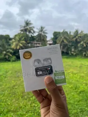 Apple AirPods Pro 2 Wireless Earbuds Display Version