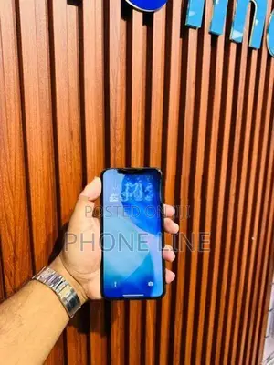 Apple iPhone 11 Pro Max (Used)