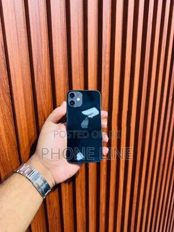 Apple iPhone 12 mini (Used)