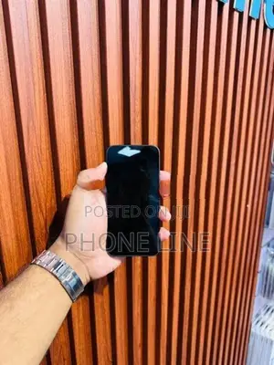 Apple iPhone 12 mini (Used)