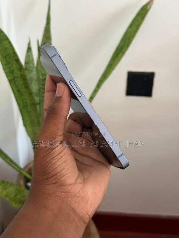 Apple iPhone 14 128GB (Used)