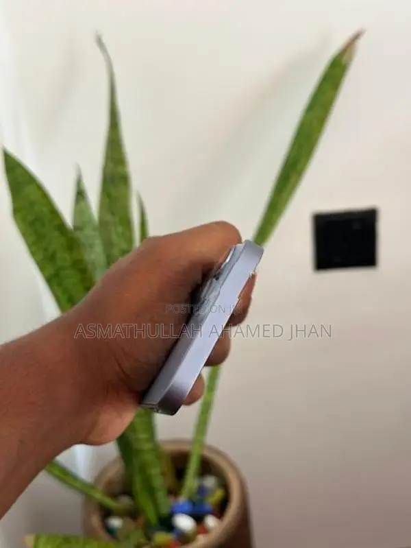 Apple iPhone 14 128GB (Used)