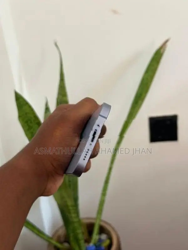 Apple iPhone 14 128GB (Used)