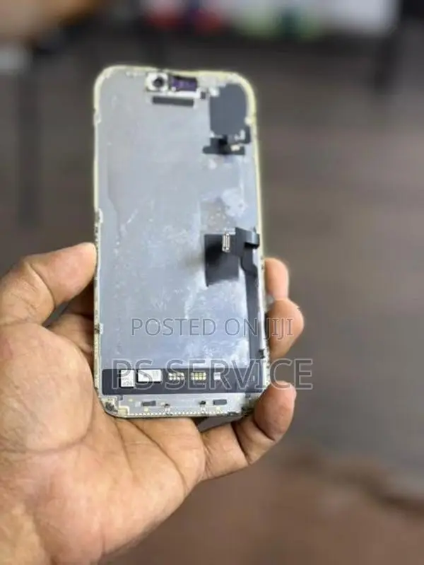 Apple iPhone 16 Pro Phone Removed Display