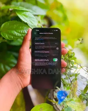 Apple iPhone 13 Pro Max (Used)