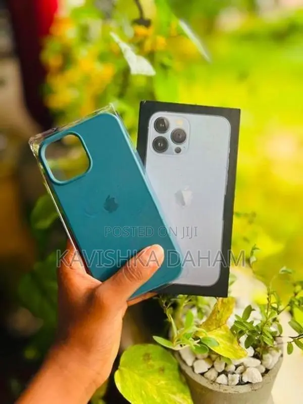 Apple iPhone 13 Pro Max (Used)