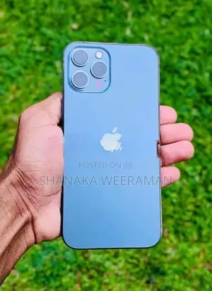 Apple iPhone 12 Pro Max (Used)