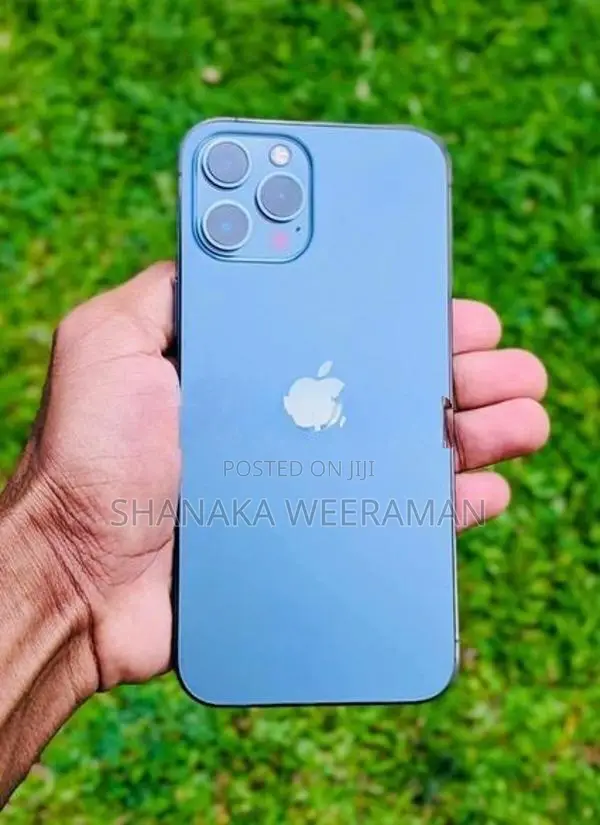 Apple iPhone 12 Pro Max (Used)