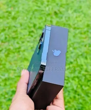 Apple iPhone 12 Pro Max (Used)