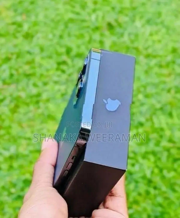 Apple iPhone 12 Pro Max (Used)