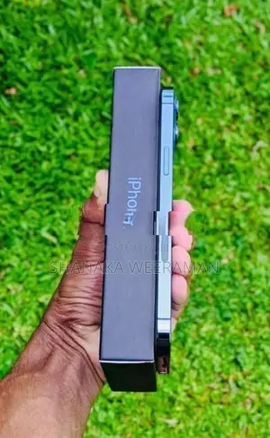 Apple iPhone 12 Pro Max (Used)