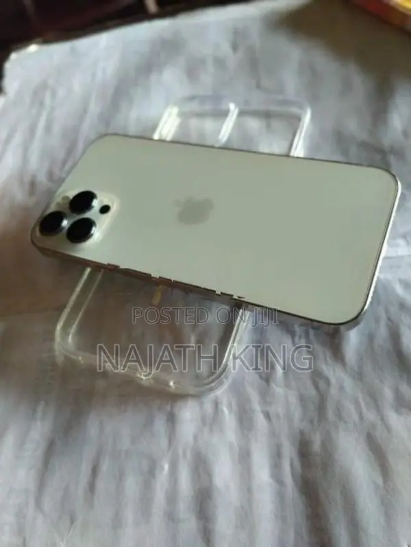 Apple iPhone 12 Pro Max (Used)