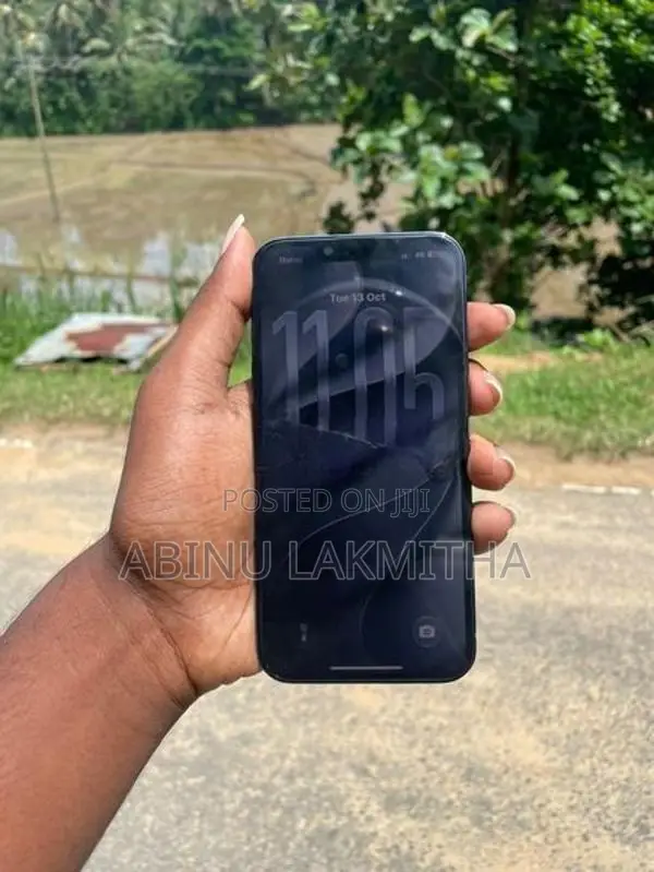 Apple iPhone 13 Pro 256GB (Used)