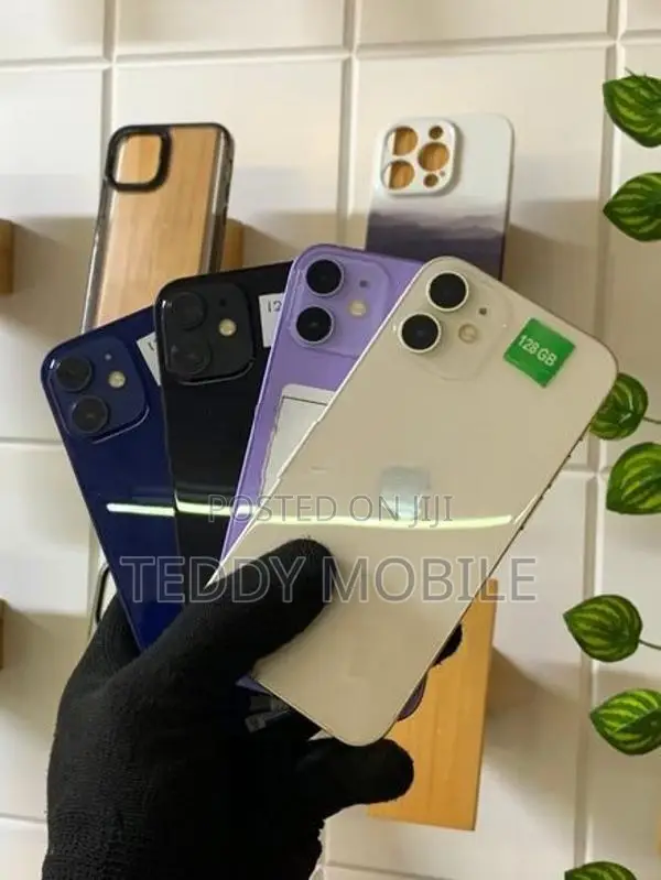 Apple iPhone 12 (Used)