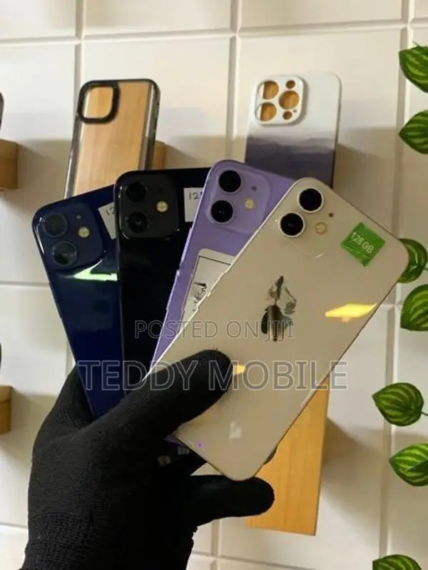 Apple iPhone 12 (Used)