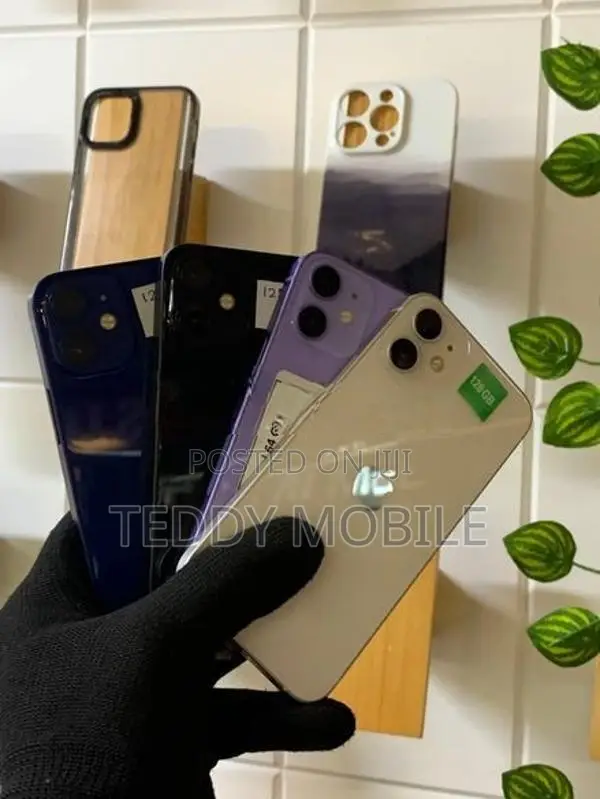 Apple iPhone 12 (Used)