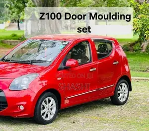 Z100 Door Moulding Set for Other