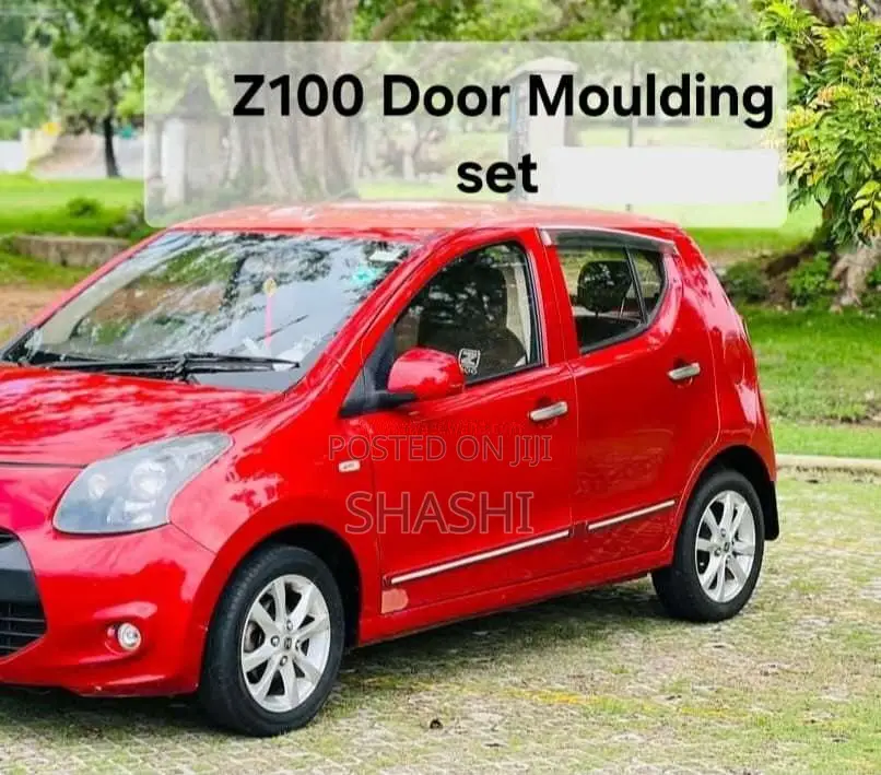 Z100 Door Moulding Set for Other