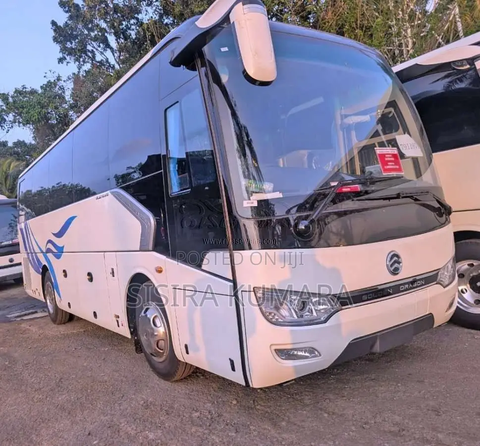 Higer Golden Dragon 2025 Bus (Used)