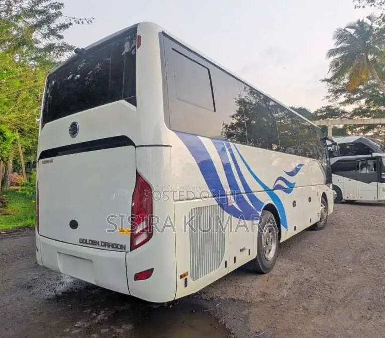 Higer Golden Dragon 2025 Bus (Used)