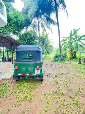 Bajaj 2 Stroke 1993 Three Wheel (Used)