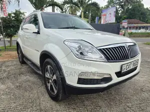 Micro Rexton 2017 SUV (Used)