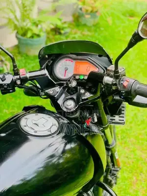Bajaj Pulsar 150 2010 Motorbike (Used)