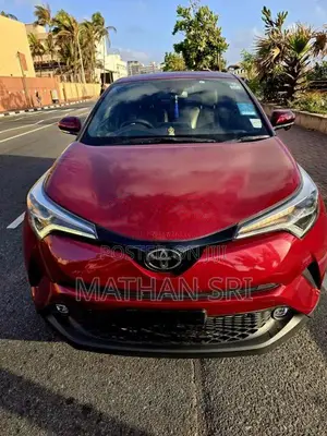 Toyota CHR 2019 SUV (Used)